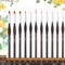 Miniature Paint Brushes, 11pcs Micro Detail Paint Brushes for Model, Citadel, Vallejo, DND, Paint by Numbers - Fine Paint Brush Set for Acrylic, Watercolor, Oil